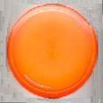 Discraft Z XL